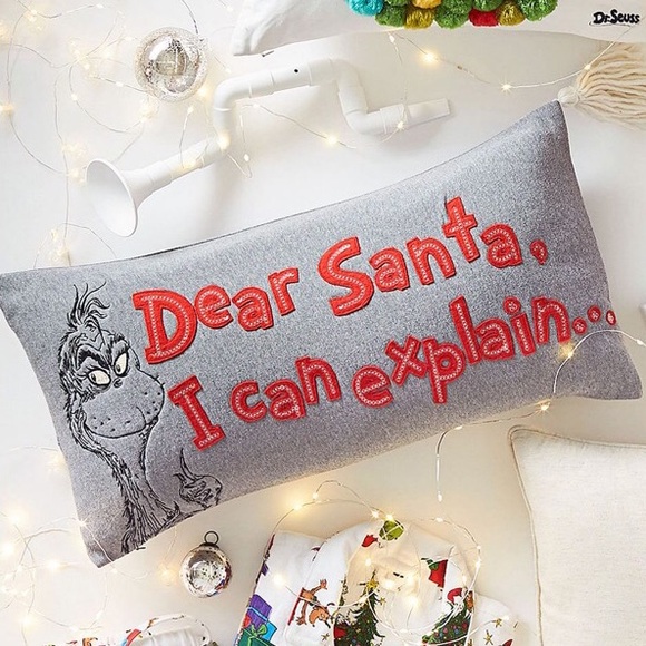 NWT Pottery Barn Grinch Dear Santa I Can Explain Sequin Pillow Cover Christmas - Picture 1 of 1